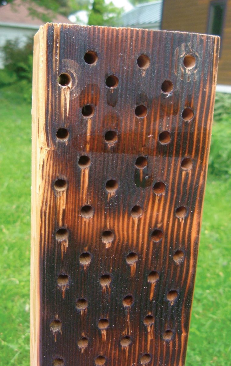 Close-up of drilled block.