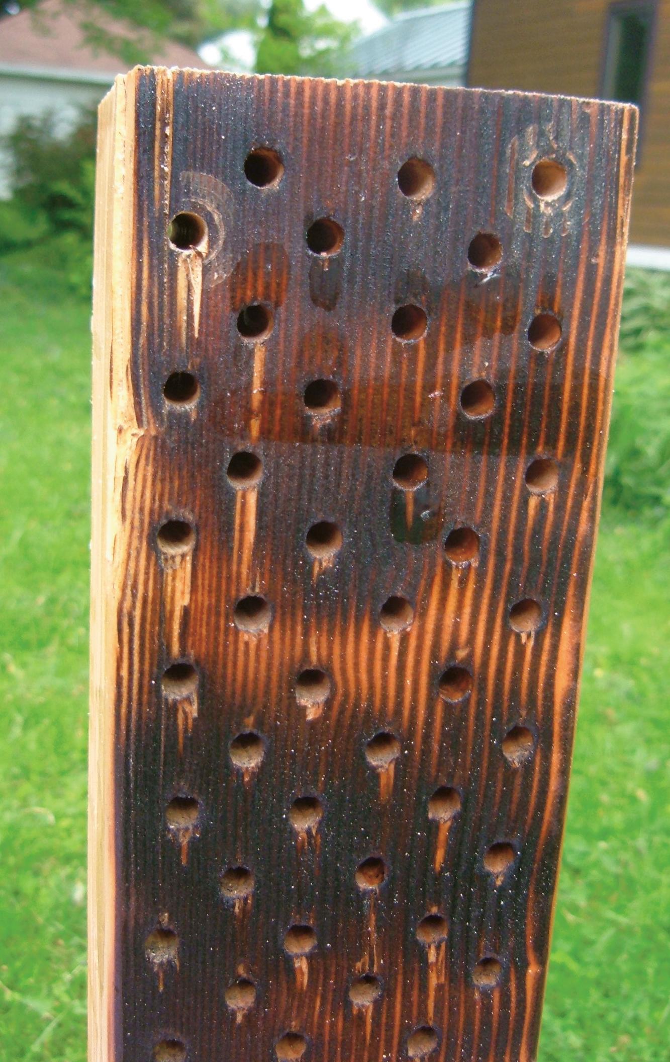 metal ruler metal ruler