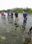 A group of people setting nets in Micronesia