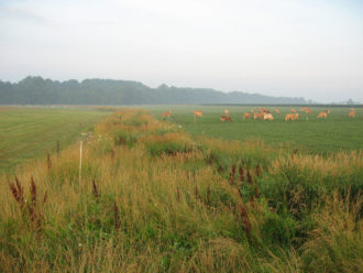 CREP, Conservation Reserve Enhancement Program, grazing, nesting area, wildlife, pollinators, Robert C. Fry