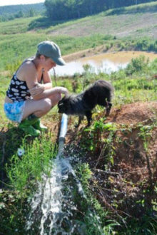 Marianne Cicala Marianne Cicala petting a dog along a pipe that burst