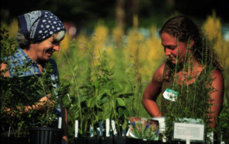 Two women look at flowers at a farmers market