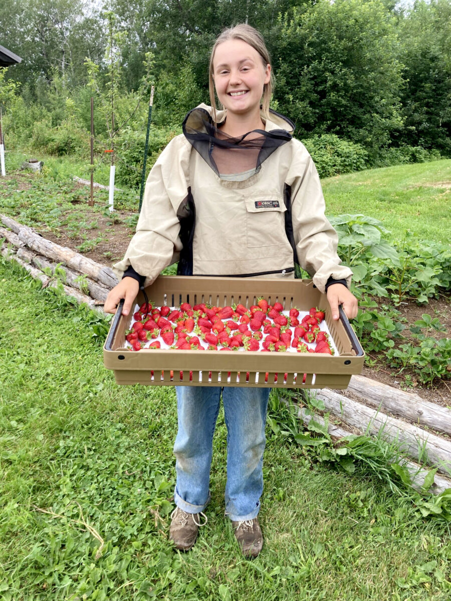 Young woman holding a tray of strawberries