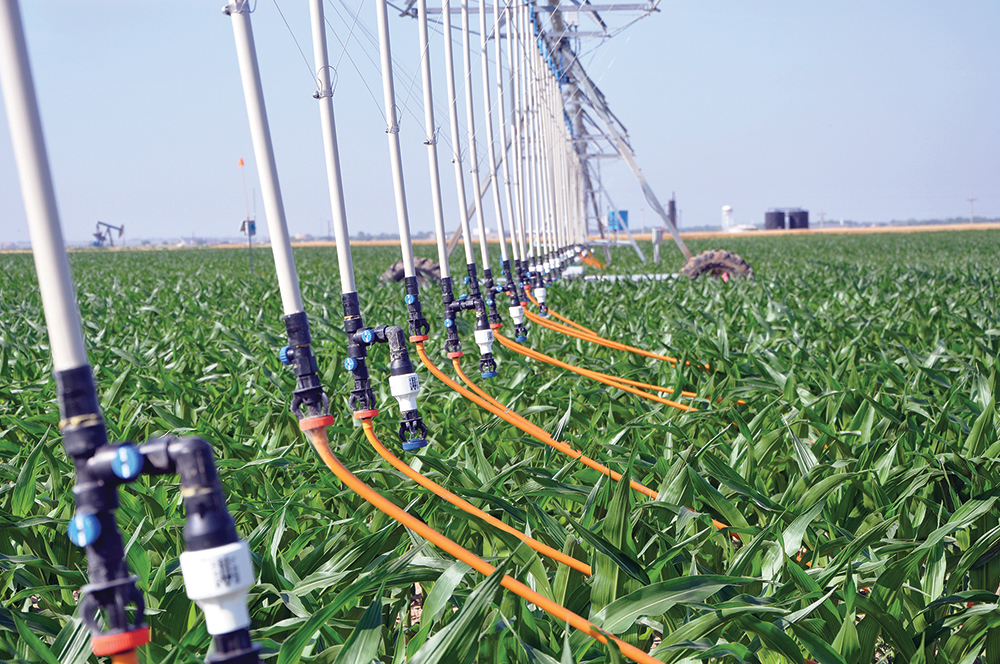 close up of drip irrigation nozzles in a field