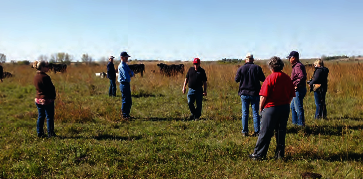 NCR-SARE.png Farmers standing around a field talking with cows in the back.