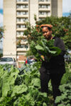 Woman holding leafy greens in a field