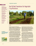 cover image of the publication