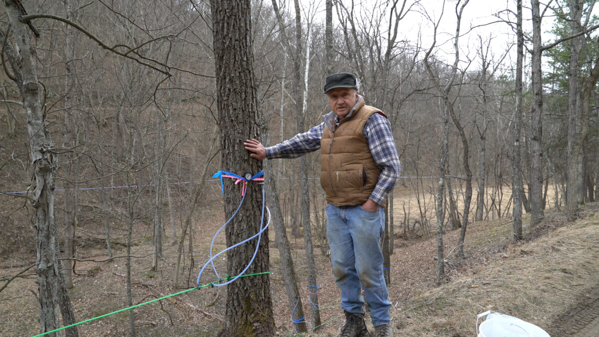 A man standing in front of a tree holding the tree thunk that has different color wires attached to it