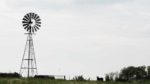 An old windmill and cows on Texas High Plains