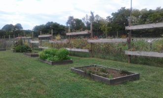 Old School vegetable farm Old School vegetable farm