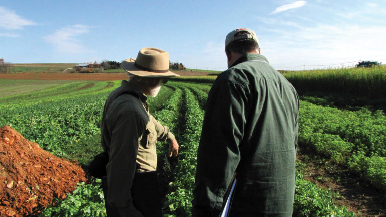 On-Farm Research On Farm Research, two farmers looking out over their rows