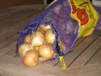 onions being spilled out of a bag