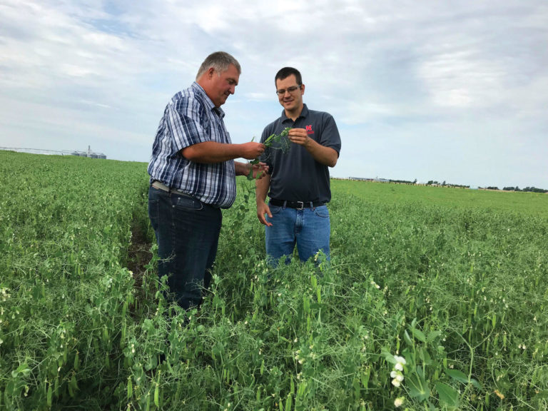 Strahinja Stepanovic working with farmer Steve Tucker Strahinja Stepanovic working with farmer Steve Tucker