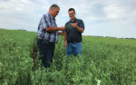 Strahinja Stepanovic working with farmer Steve Tucker