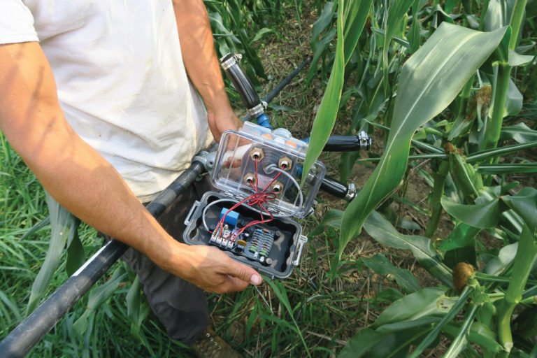 The laser scarecrow that Ken Elliot designed The laser scarecrow that Ken Elliot designed