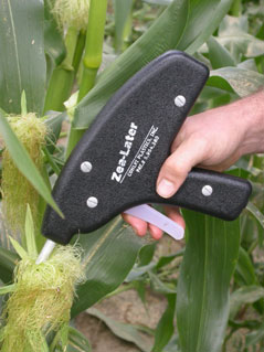 Photo C. Zea-later oil applicator being used to apply oil/Bt treatment to corn silk.