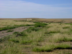 A combination of carefully managed rotations, soil-building and irrigation pipes helps Colorado rancher Mark Frasier survive periodic droughts.