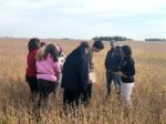 People in a field examining soil