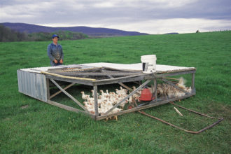 man standing next to chicken coop in a large field