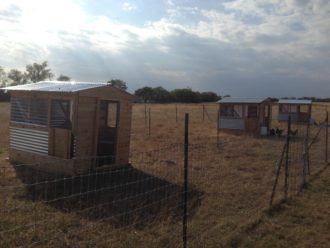 Poultry houses Poultry houses in a field