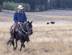 Image of a man on a horse.