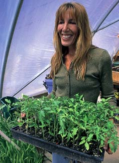 Organic vegetable transplants can fetch at least 30 percent more than conventional plants and are snapped up by eager gardeners at farmers markets across the country. Rebecca Sexauer of Deep River, Iowa, displays a tray of tomato transplants.
