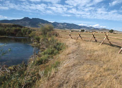 Riparian Zone featuring water on the left and land on the right