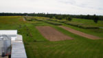 Two barren rectangles of fields surrounded by green grass with tree lines in the distance