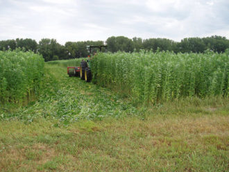 roller crimper A tracker in a field with tall green stalks