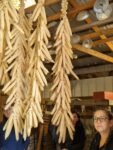 A woman looking at drying white corn hanging from above.
