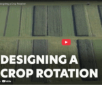 Youtube screenshot fields in crop rotations