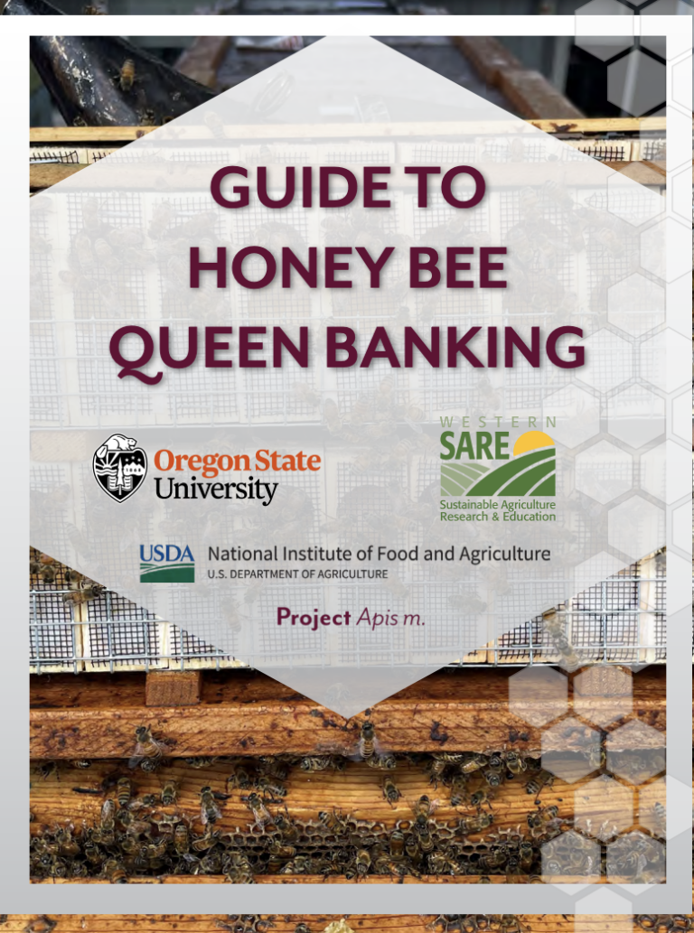 Guide to Honey Bee Queen Banking SARE