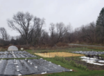 Tarp placed in a field in the winter-time