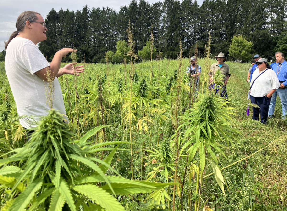 Man talking to a group across a green field