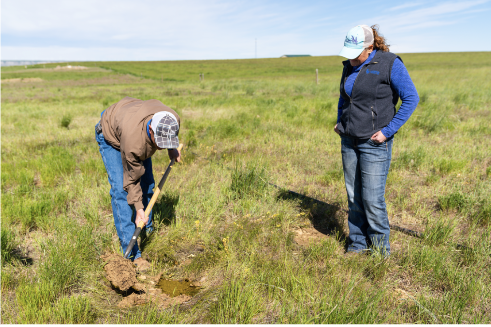 A man digging in a field with a shovel while a woman stands next to him and watches