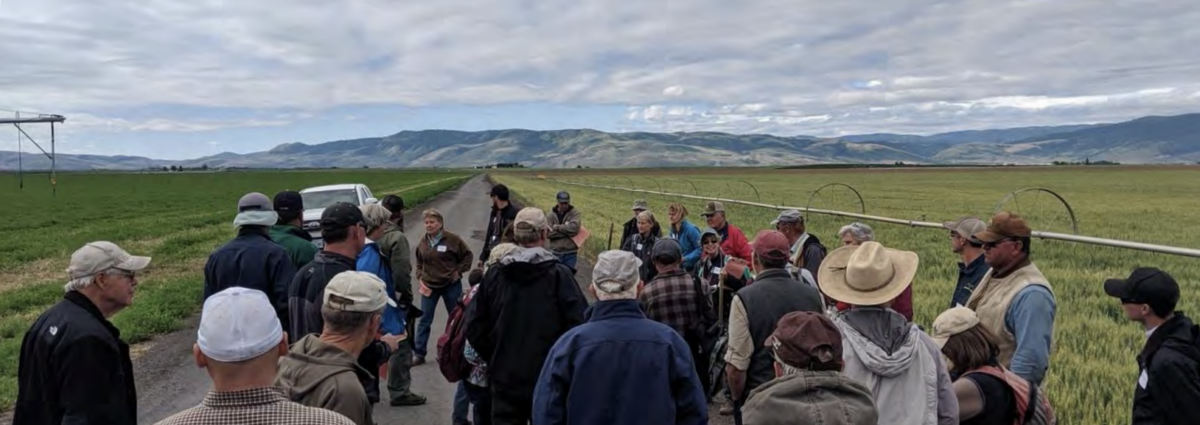 Farmers standing outside in a vast green field with mountains in the distance