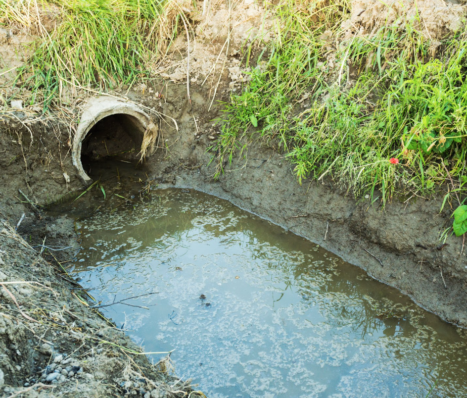 Pipe draining into a ditch with green weeds growing on the side