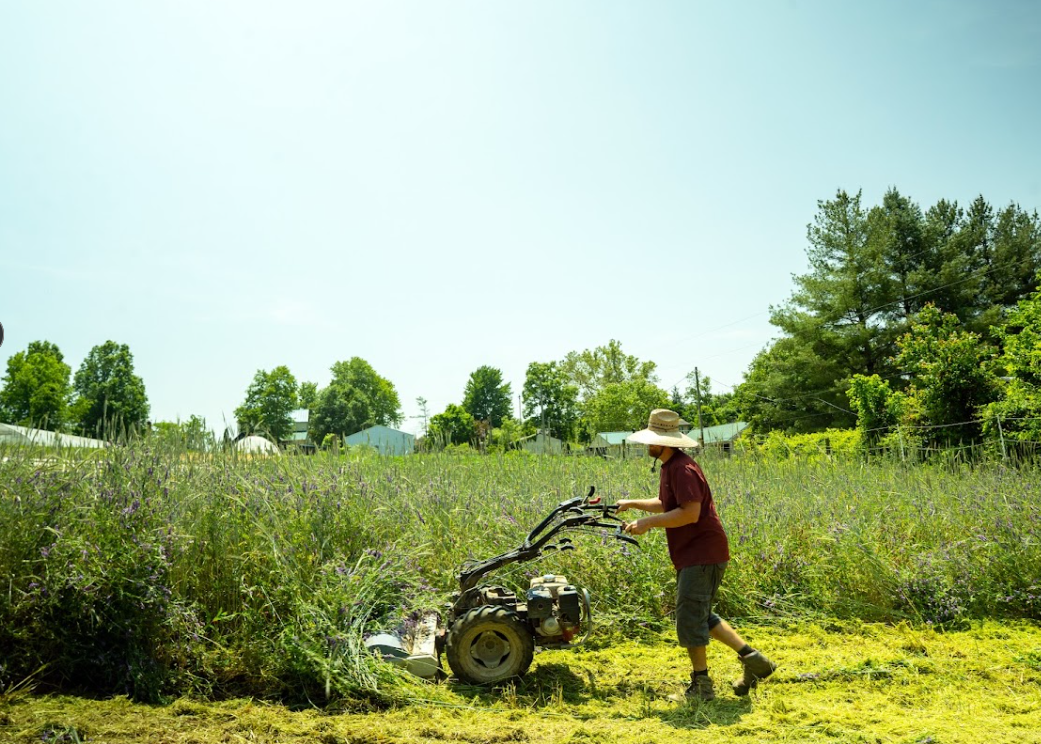 Person using a mower