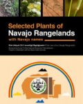plants Navajo Rangelands