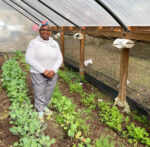 Farmer standing in high tunnel