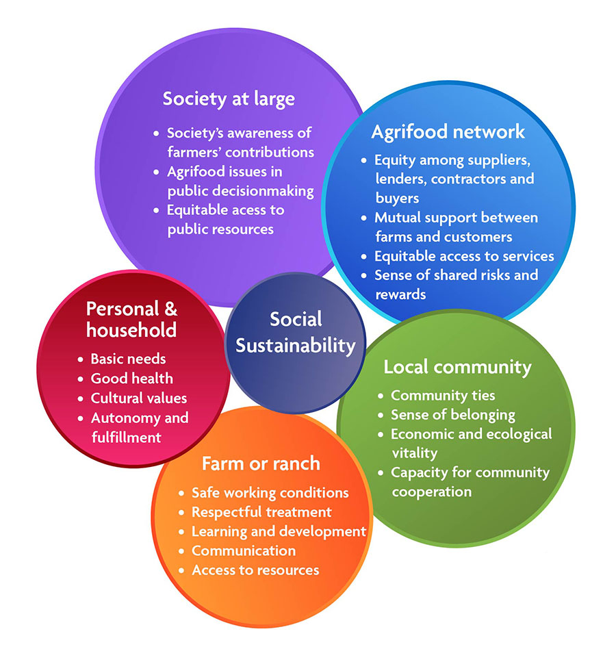 Social sustainability infographic