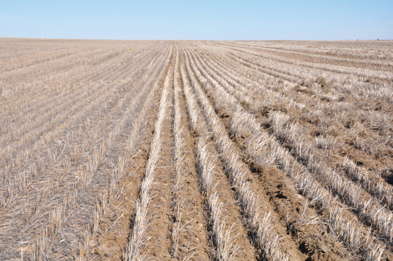 Soil Disturbance Research Soil Disturbance Research