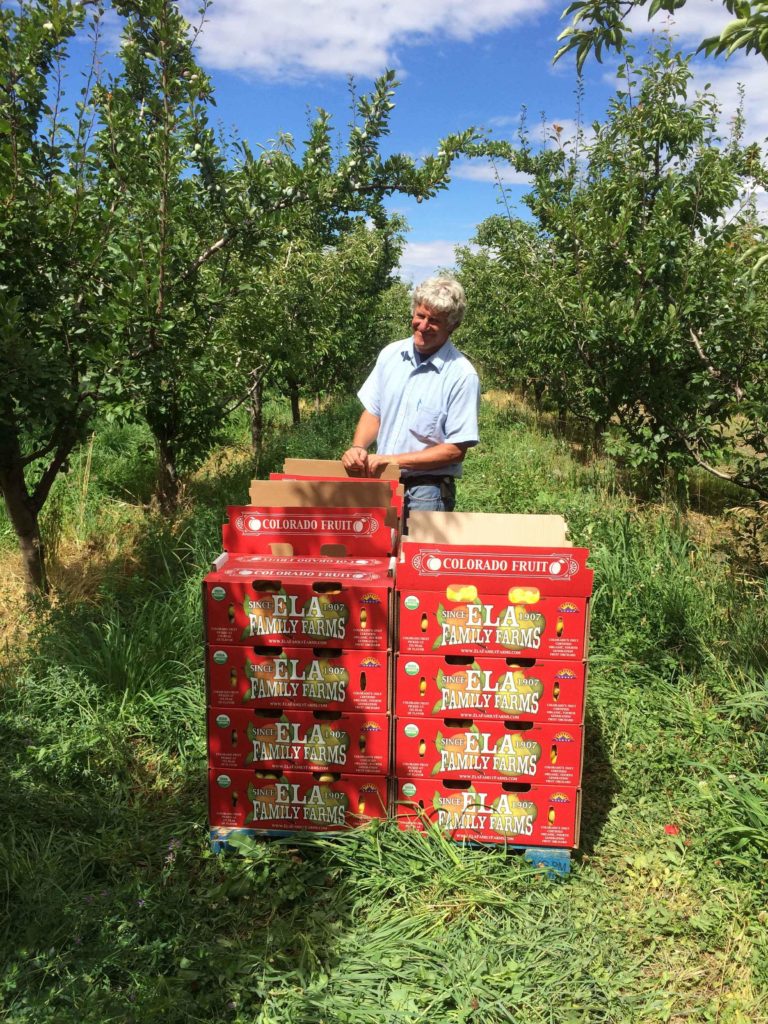 Man with fruit crates in his orchard Man with fruit crates in his orchard
