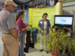 sunn hemp research sunn hemp research