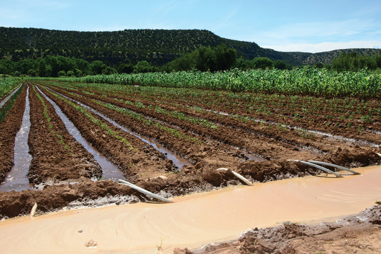 types of surface irrigation methods