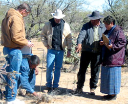 Farmers standing around looking at something on the ground