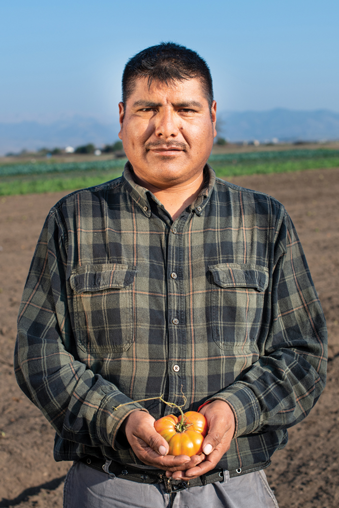A farmer posing with a tomato in his hands.