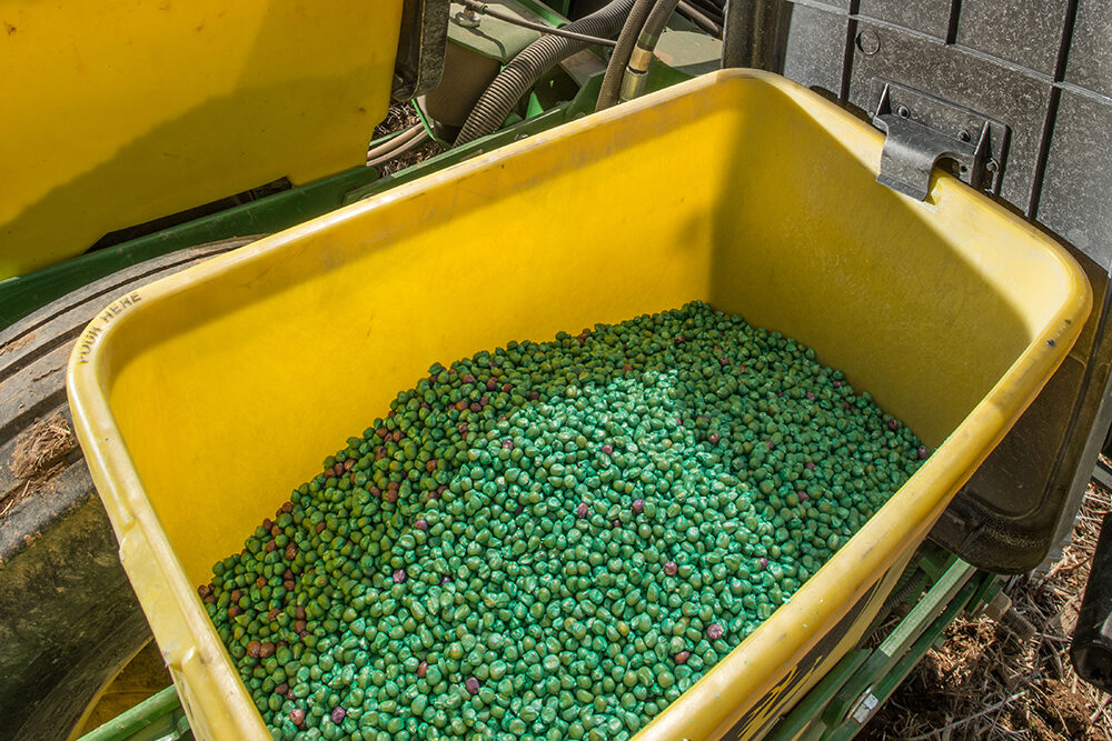 Seeds in a hopper