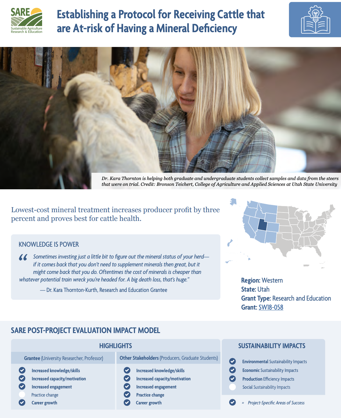Image of the Insight for Action Case Study PDF