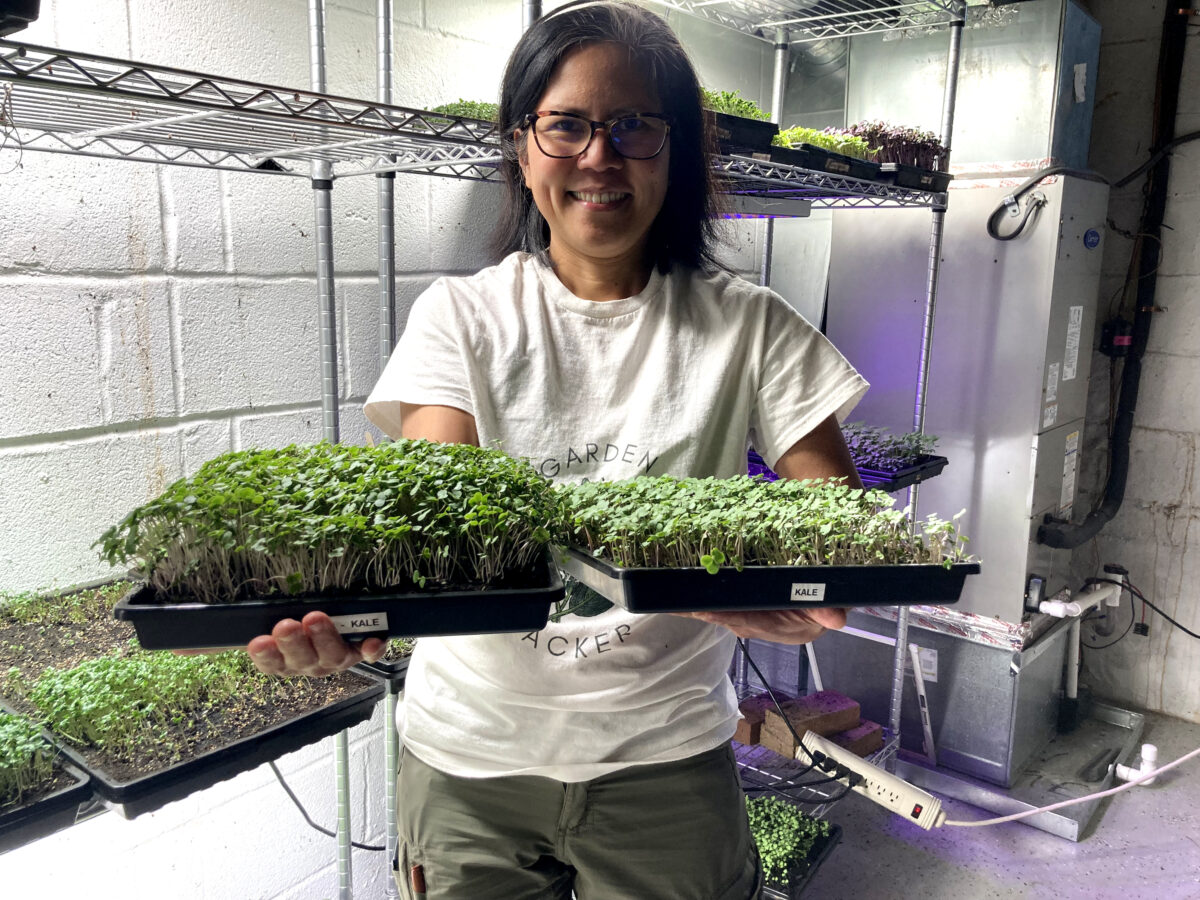 farmer holding trays of sprouts in a cooler